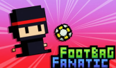 Footbag Fanatic