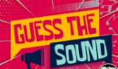 Sound Guess