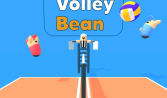 volley bean